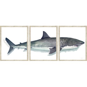 CL- GREAT WHITE TRIPTYCH